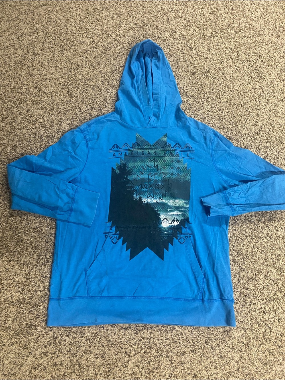 American Eagle Blue Graphic Hoodie